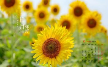 10月份工作总结5篇