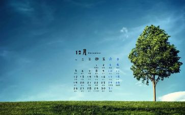 12月物业工作总结8篇