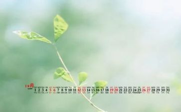 12月心得5篇