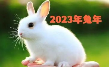 2023年个人年终总结优质5篇