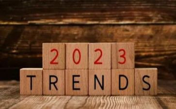 2023年新教师培训心得最新7篇