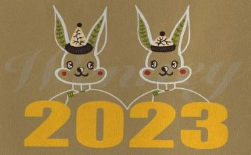 2023年新教师培训心得优质7篇