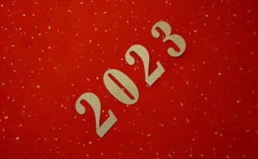 2023年个人年终总结通用5篇