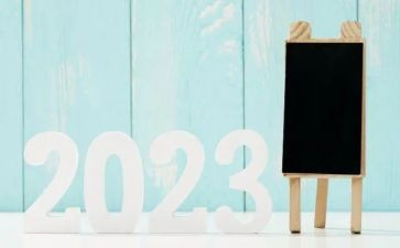 2023年责任督学培训心得体会5篇