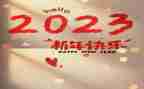 2023三八活动总结8篇