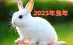 2023年个人年终总结优质5篇