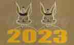 2023年新教师培训心得优质7篇