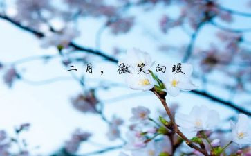人事2月工作总结8篇