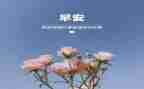 3月份班级工作计划7篇
