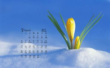 3月份销售工作总结8篇