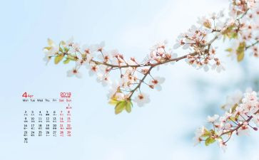 幼儿大班4月工作计划7篇