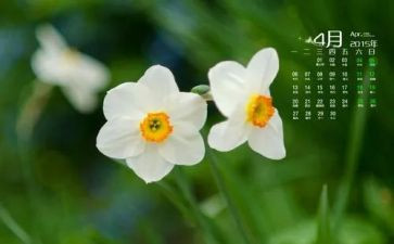 2024小班4月份工作总结8篇