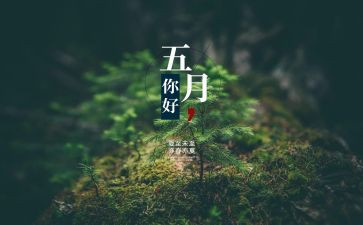 5月工作汇报范文5篇