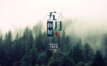5月保洁工作计划6篇