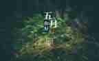 5月工作汇报范文5篇