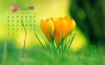 6月党日活动总结范文8篇