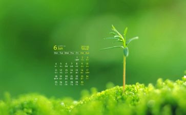 6月安全生产月心得体会5篇