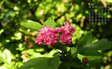 6月份销售工作总结5篇
