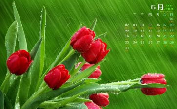 6月安全生产日活动总结5篇