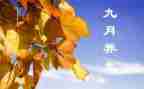 幼儿小班9月份工作总结通用6篇