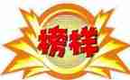 榜样5的心得最新8篇