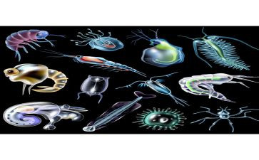 高二上生物备课组工作总结6篇