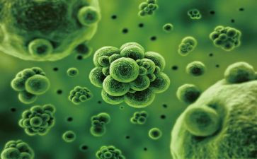 生物老师月工作总结优质6篇