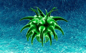 生物实验心得体会范文7篇
