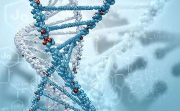 生物实验月工作总结7篇