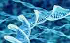 生物老师月工作总结模板7篇