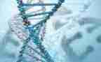 生物实验月工作总结7篇