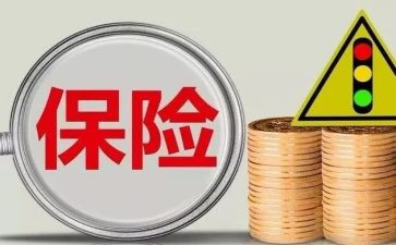 2024年保险业工作总结6篇