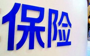 保险个人年度工作总结8篇