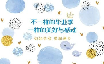 毕设设计工作总结优质5篇