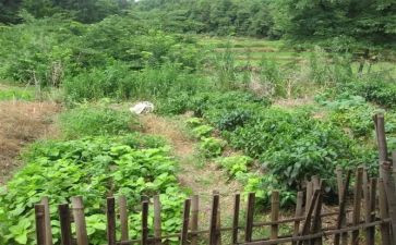 菜根谭的心得体会7篇