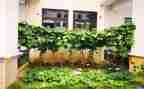 赣菜发展调研报告5篇