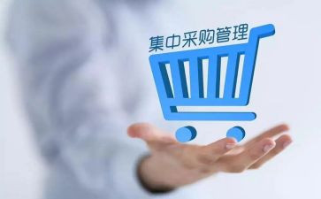 采购月工作总结范文参考8篇