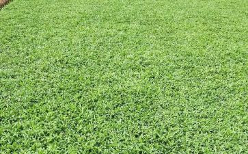 烟草2024年工作报告5篇