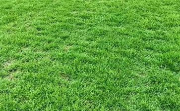 《草房子》心得体会优质7篇