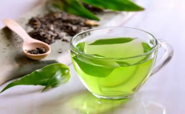 关于茶经的读后感500字7篇