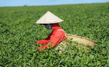做茶壶心得7篇