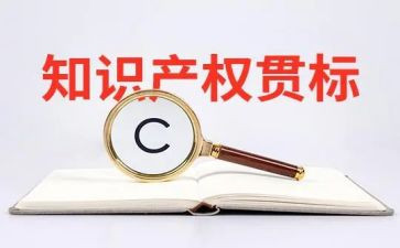 知识产权的心得体会8篇