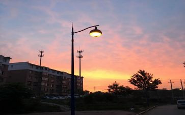 朝夕拾读后感600字优质8篇