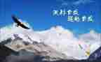 超越的作文模板8篇