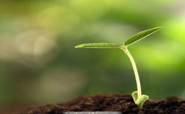 我的错我的成长作文优秀8篇