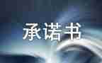 电力施工安全承诺书8篇