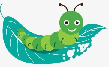 毛毛虫吃苹果教案7篇