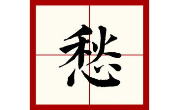 我的愁作文800字5篇