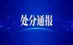 学习党员处分条例心得体会8篇