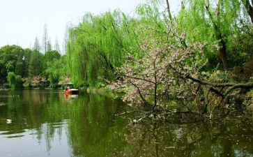 以春节为主题的活动方案6篇